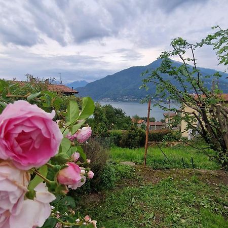 Villetta Con Giardino Privato Cremia Εξωτερικό φωτογραφία
